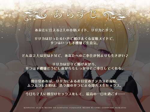 【中文翻译】金发没头脑女仆和银发不高兴女仆的侍奉性活【RJ01279894】-第2张图片-萌站