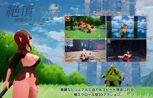     绝顶之塔 ~欲望的水晶絶頂の塔 ~欲望のクリスタル~   ACT   生肉  PC   v1.0-第1张图片-萌站