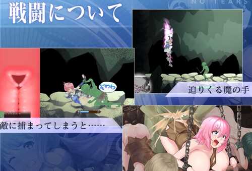 【动作ACT】聖騎士アルネと魔孕の呪印～Another No Tears～【4.37G】-第1张图片-萌站