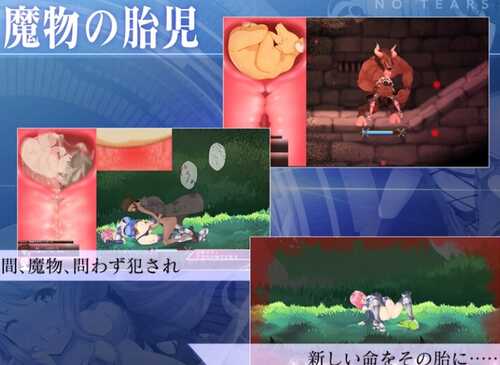 【动作ACT】聖騎士アルネと魔孕の呪印～Another No Tears～【4.37G】-第2张图片-萌站