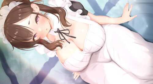 PC/SLG/他让她堕落   #He Maid Her Fall v0.2.5 汉化版-第1张图片-萌站