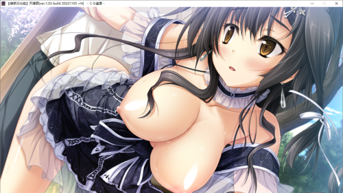 【ADV/汉化/PC/剧情作】天津罪-第13张图片-萌站