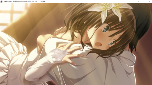 【ADV/汉化/PC/剧情作】天津罪-第28张图片-萌站