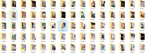 COS星 1-100-第1张图片-萌站