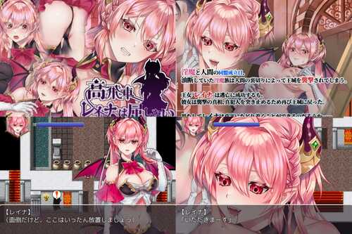 [RPG/官中/凌辱/合集]nikukyu游戏合集-第1张图片-萌站