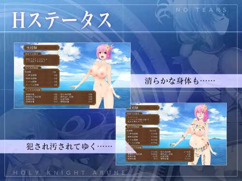 PC/ARPG/圣骑士阿尔内与魔孕的咒印  #聖騎士アルネと魔孕の呪印～Another No Tears～ v1.0.5 汉化版-第2张图片-萌站