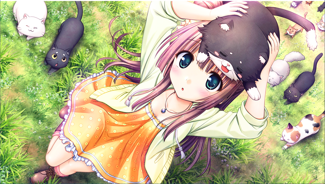 【ADV/汉化/PC】大图书馆的牧羊人 ～课馀的尾巴时光～-第15张图片-萌站