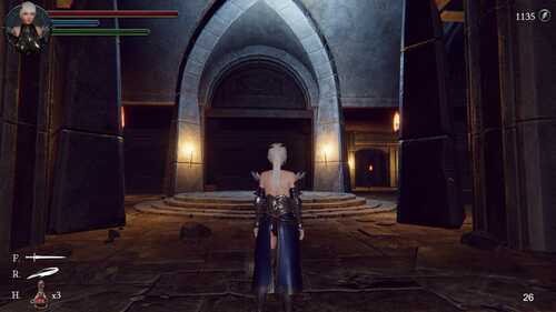 PC/3D/#地下城的女骑士  #地下城の女騎士  Steam官方中文步兵版-第1张图片-萌站