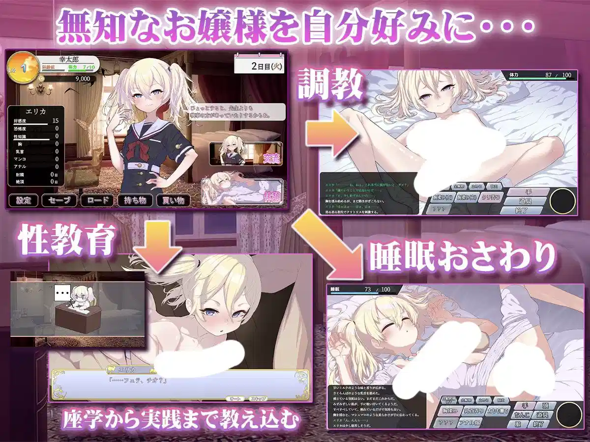 [SLG/AI汉化] 懵懂无知的大小姐 このお嬢様、無知につき [1.1g]-第1张图片-萌站