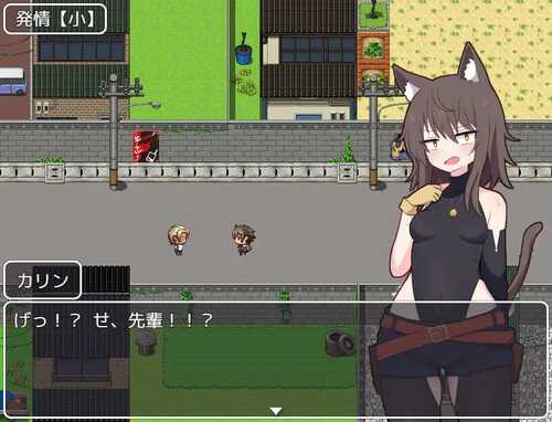 免费PC/RPG/卡琳的再燃 #カリンの再燃 v1.0.2 汉化版+全CG存档-第3张图片-萌站