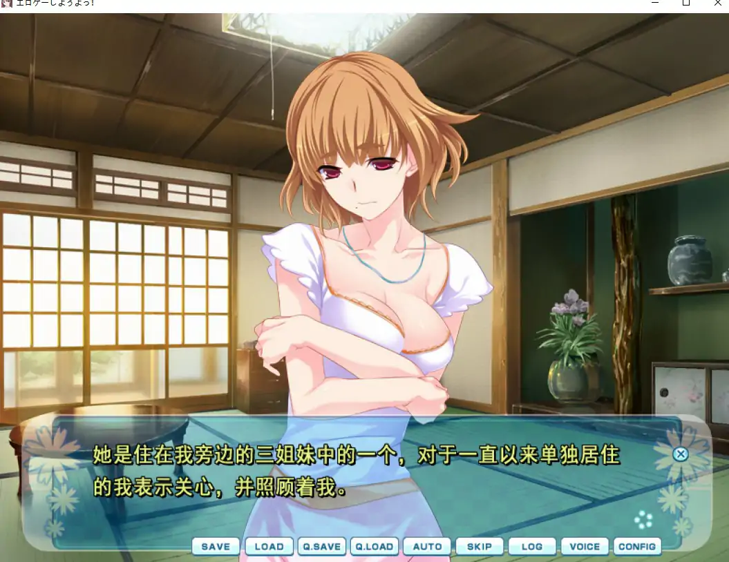 [ADV/汉化] 来玩大人游戏吧！Hゲーしようよっ！AI汉化版电脑 [1.5G]-第1张图片-萌站