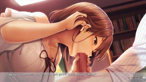 PC 未来广播与人工鸽Future Radio  v1.05 Steam官方中文版+DLC+特典+存档-第5张图片-萌站