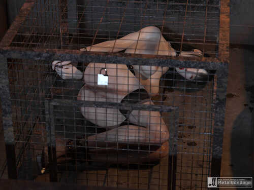 永远监狱01-08+酒店与黑人01-02-第6张图片-萌站