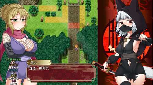 新作【日式RPG】忍者枫叶丸的秘章 官中步兵版 [800M]-第4张图片-萌站