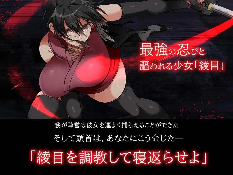 步兵版[日式SLG/动态] 忍堕－女忍调教 STEAM官方中文版 全CV [11.30G]-第4张图片-萌站