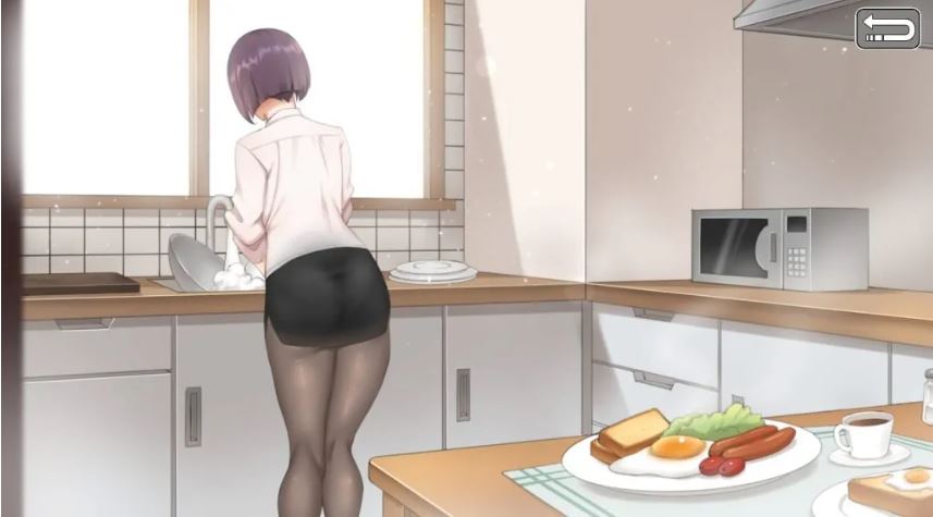 【PC/SGL】韩老师的课后辅导官方中文版-第2张图片-萌站