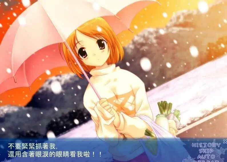 [ADV/汉化] 雪之华 精翻汉化版电脑 [1.8G]-第3张图片-萌站