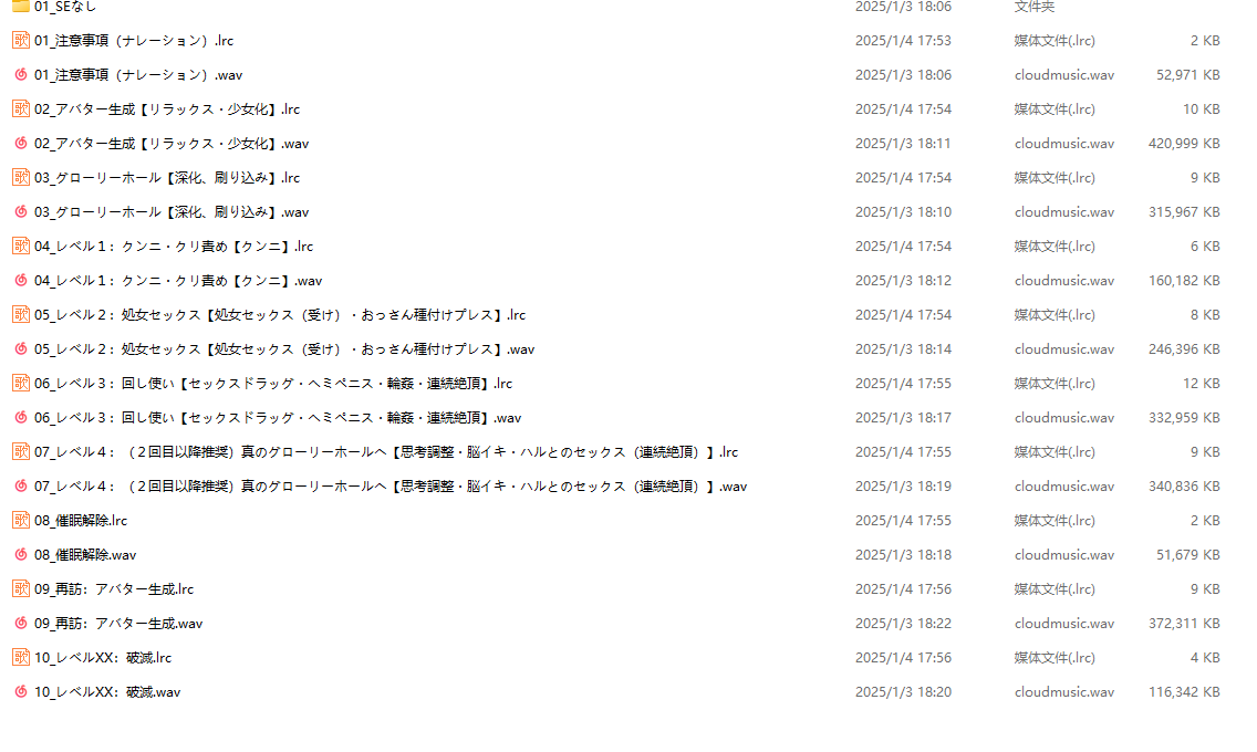 RJ01194378ヒプノティックグローリーホール -壁尻型グロー〇ーホールの世界へようこそ（附带机翻）-第2张图片-萌站