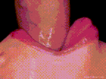 扣缴包皮-第1张图片-萌站