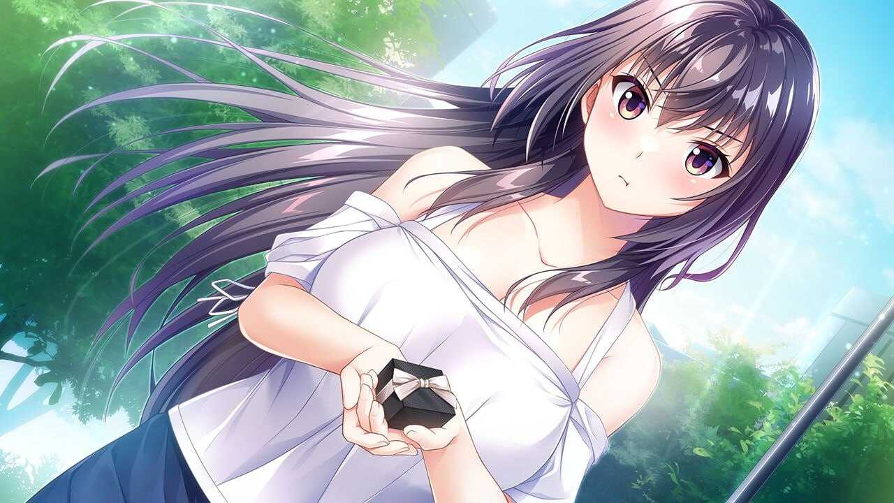 PC/幸乃下萤的恋青日和 ～与义姐的秘密同居 #幸乃下蛍の恋青日和(こはるびより) お義姉(ねぇ)ちゃんとの秘密同棲 v1.0 I汉化版+存档-第5张图片-萌站