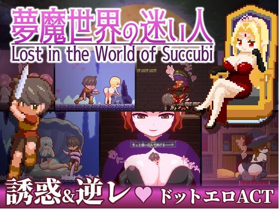 新作[动作ACT/像素/动态] 梦魔世界的迷惑人 夢魔世界の迷い人 – Lost in the World of Succubi 官中版 [PC+安卓-1.30G]-第3张图片-萌站