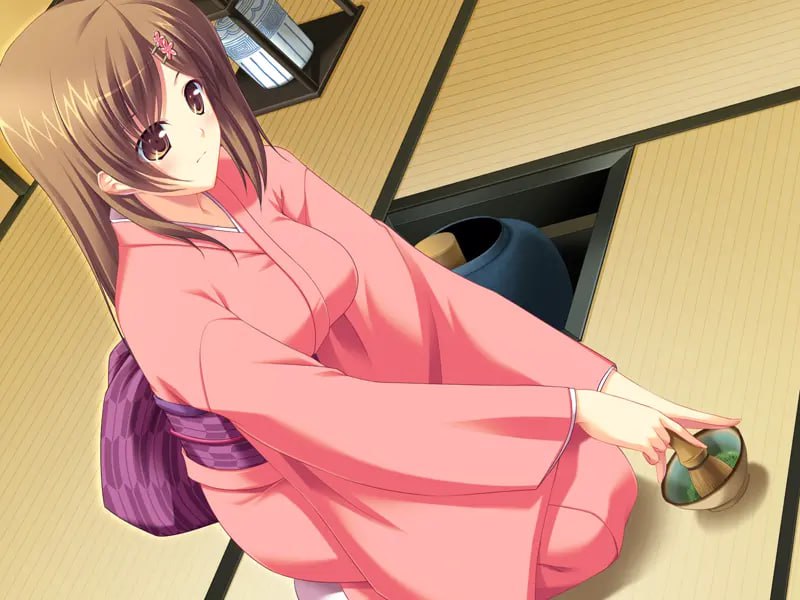 PC/ADV/抚子乱舞  #撫子乱舞  汉化版+全CG存档 -第3张图片-萌站