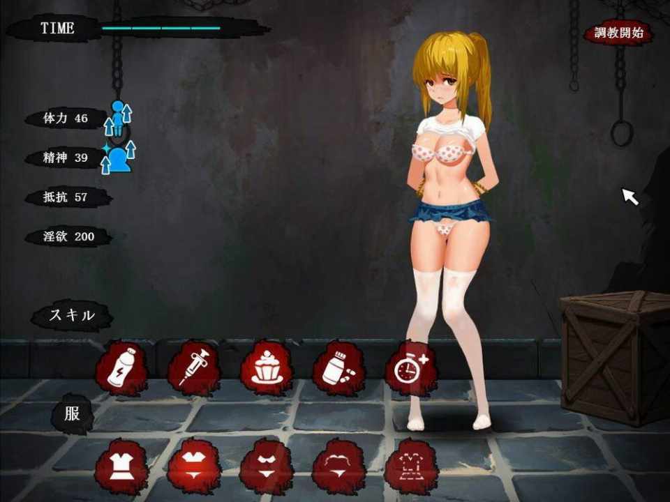 [SLG汉化全动态][アリバイ+]监禁小姐姐~Imprisonment汉化版 PC-第1张图片-萌站