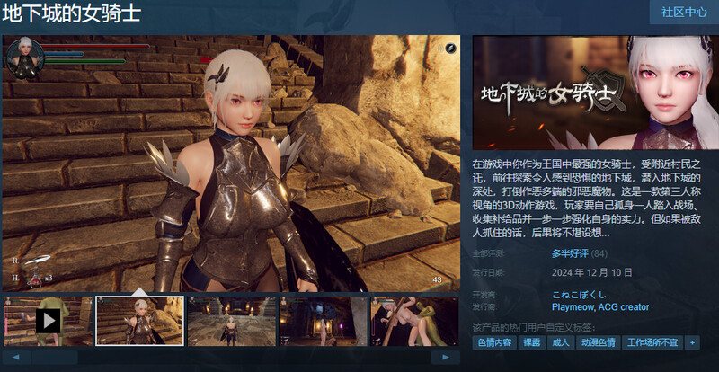 【爆款ACT/3D作品/全动态/官中】地下城的女骑士（地下城の女騎士）STEAM官中步兵-第3张图片-萌站