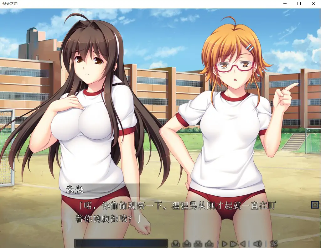 [ADV/汉化] 圣天之泪：惨遭背刺的天使V1.01 官方中文电脑 [7.7G]-第2张图片-萌站