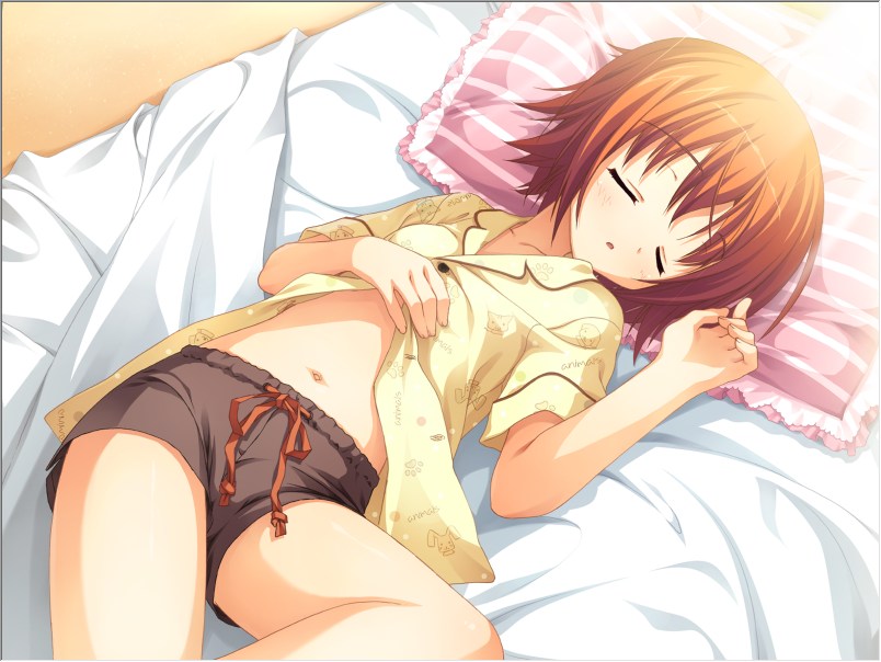 【ADV/汉化/PC】夏空彼方-第20张图片-萌站