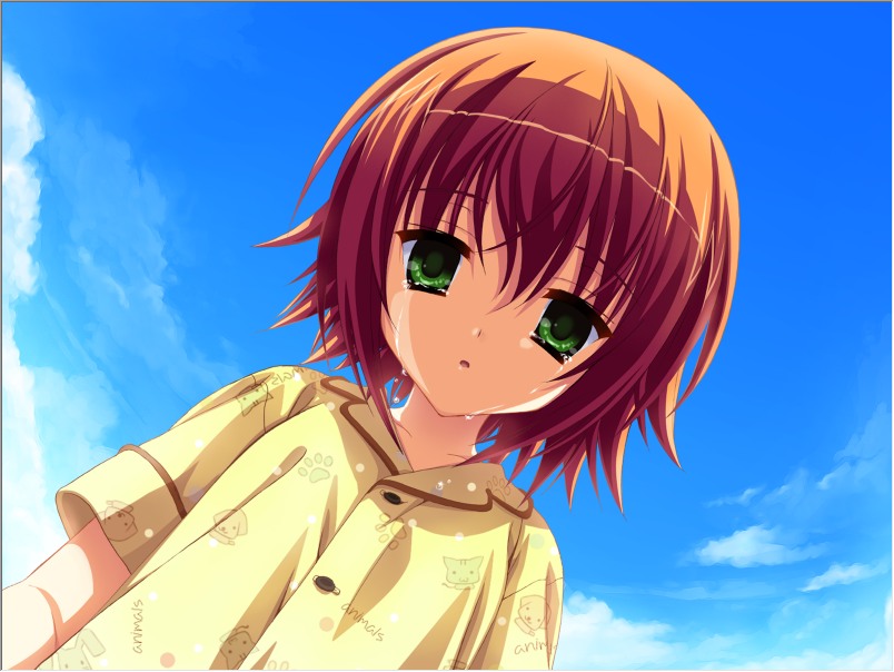 【ADV/汉化/PC】夏空彼方-第23张图片-萌站