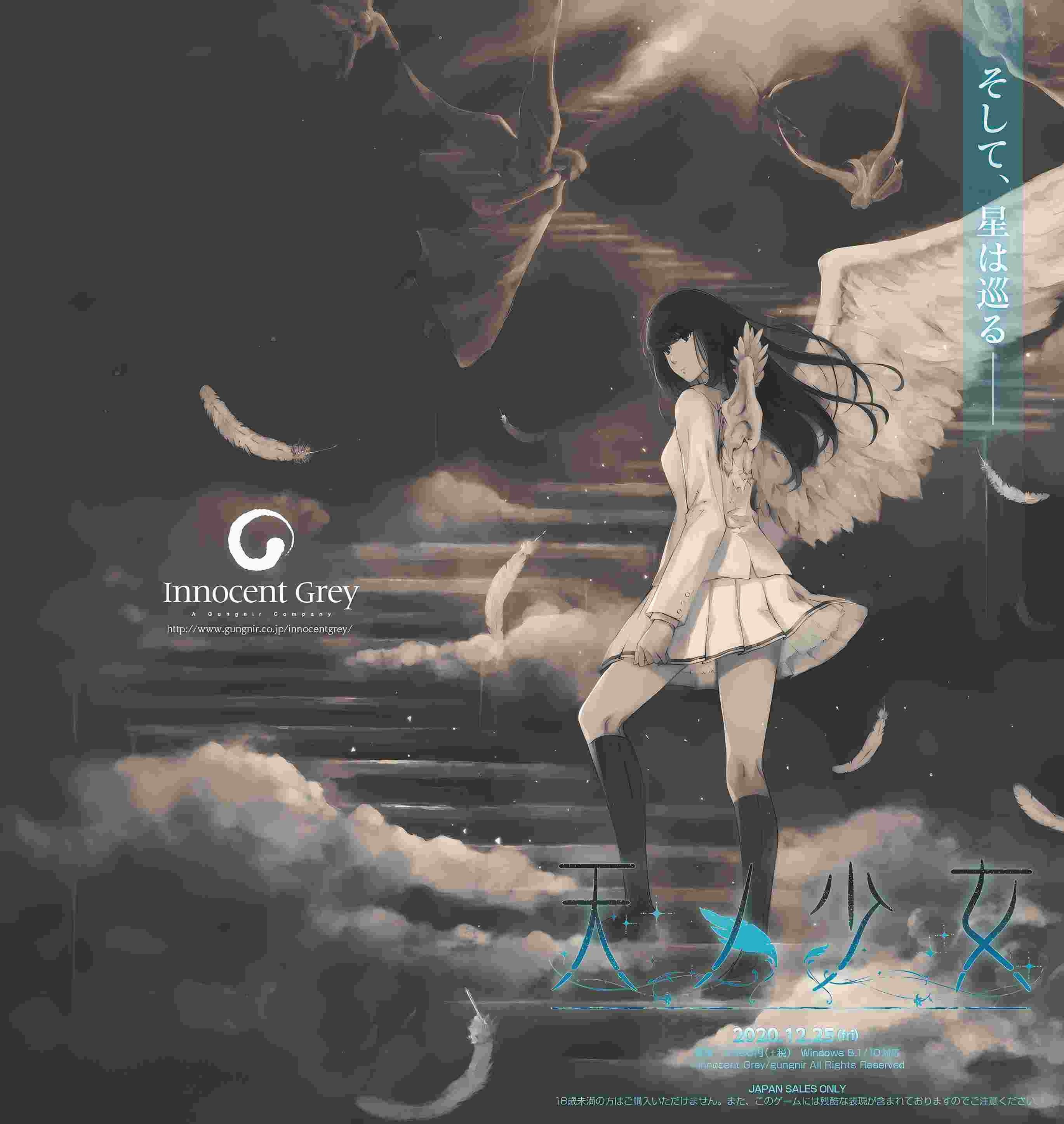 新官中[大型ADV/悬疑推理] 天之少女 天ノ少女 官方中文版+全CG存档 [5.10G]-第2张图片-萌站