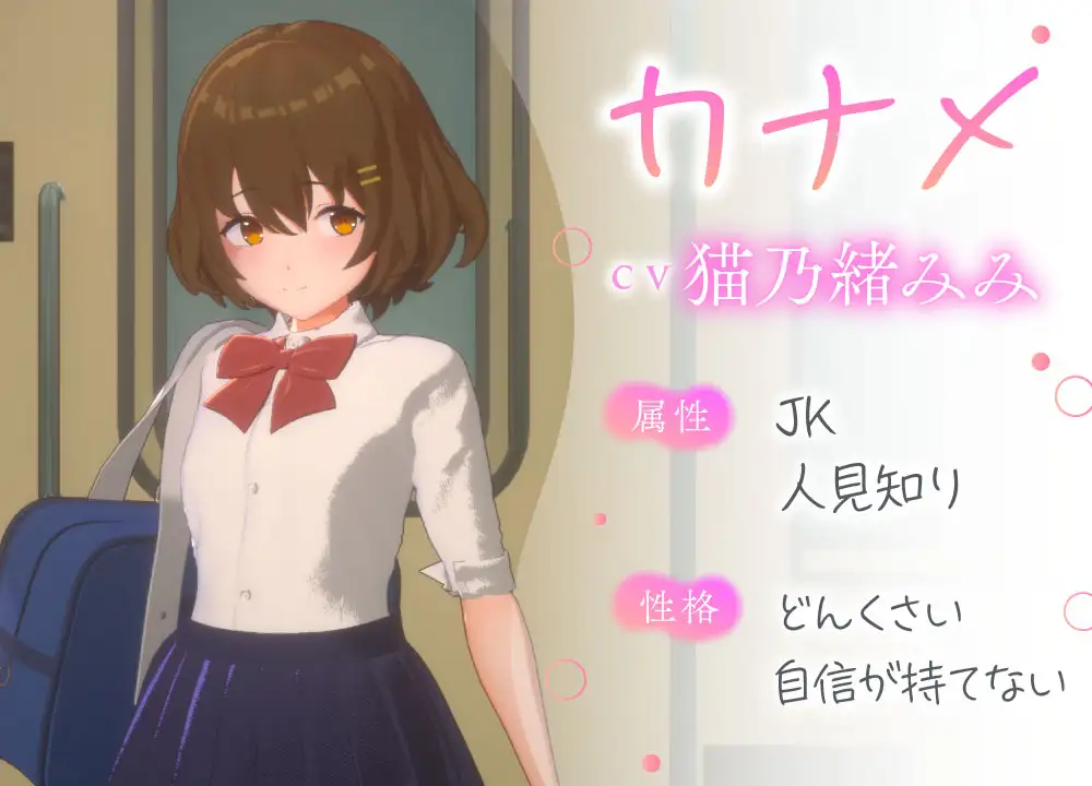 PC-3D痴◯体験 おさわりホーダイ!通学電車編-第1张图片-萌站