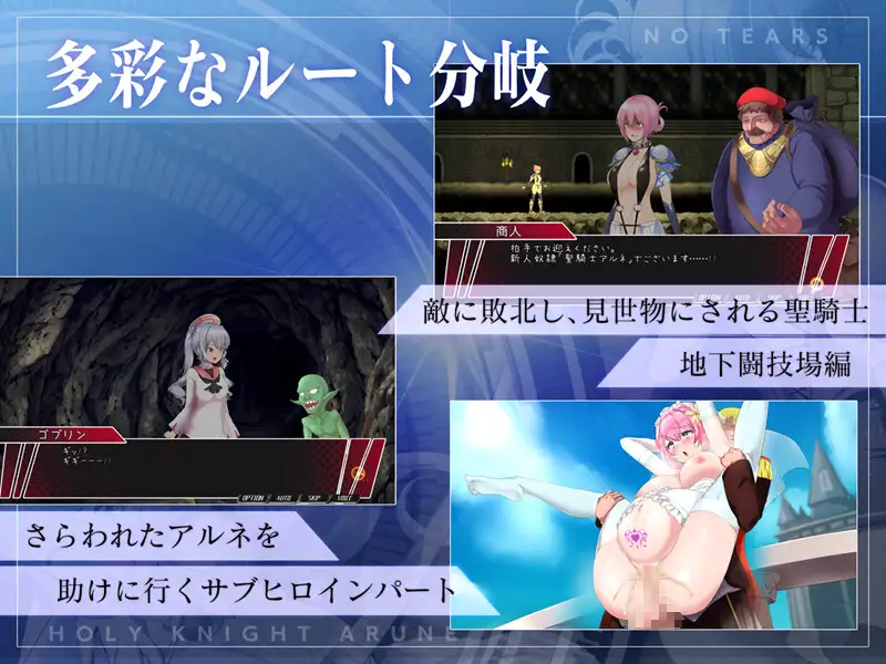PC-聖騎士アルネと魔孕の呪印~Another No Tears~-第8张图片-萌站 PC-聖騎士アルネと魔孕の呪印~Another No Tears~-第8张图片-萌站