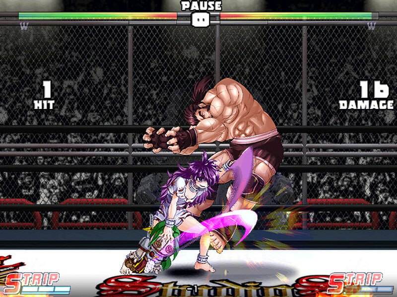 PC/爆衣战士5:黑暗武斗会 #Strip Fighter 5 CE V1.2hotfix Steam豪华完整官方中文版-第2张图片-萌站