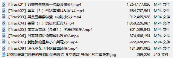 【汉化音声】【八集合一全集】能够温暖著凉肉棒的双胞胎温热肉穴 冬空恋歌 双晶色的二重爱恋【繁体中文版】-第2张图片-萌站