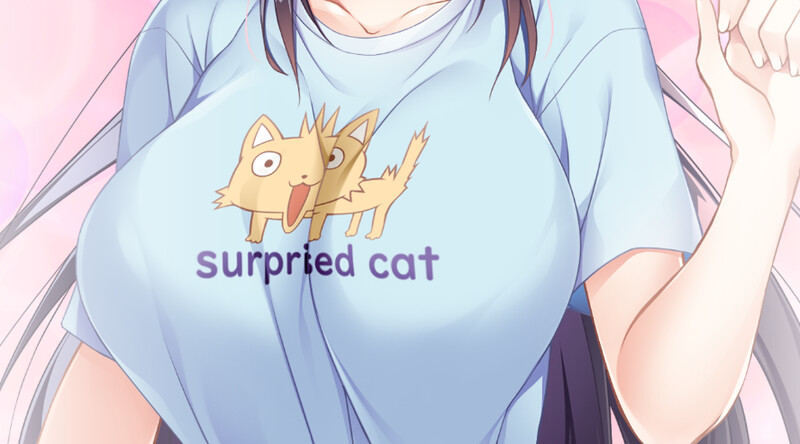 【拔作ADV/伦理/汉化】幸乃下萤的恋青日和 ～与义姐的秘密同居（幸乃下蛍の恋青日和 -お義姉ちゃんとの秘密同棲-）V1.0 AI汉化+存档-第3张图片-萌站