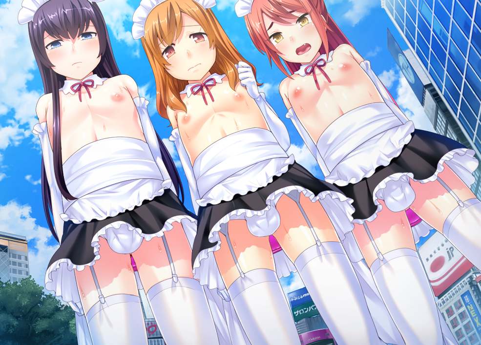 【pc汉化】伪娘后宫-第2张图片-萌站