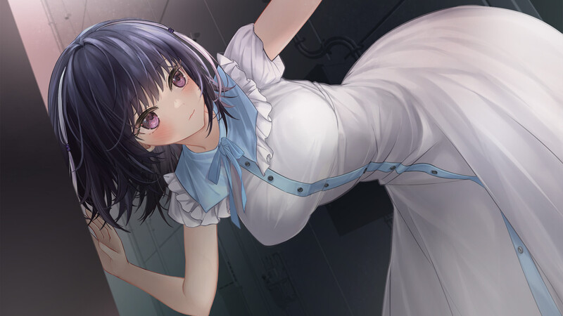 [SLG动态中文] リリム Lv upしたい魅魔莉莉姆想要升级 [百度693MB]-第5张图片-萌站