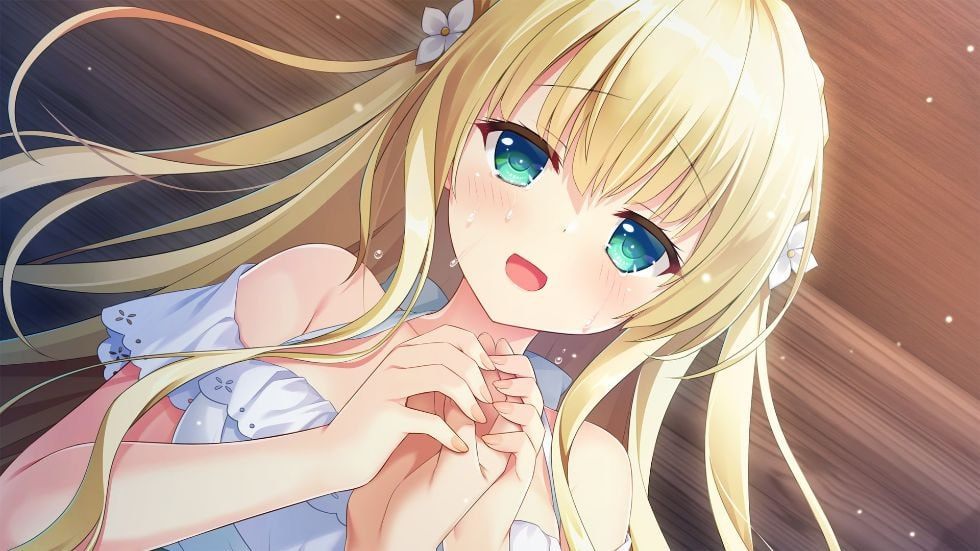 PC/ADV/梦幻的提尔纳诺  #夢幻のティル・ナ・ノーグ 精翻汉化版+全CG存档-第1张图片-萌站