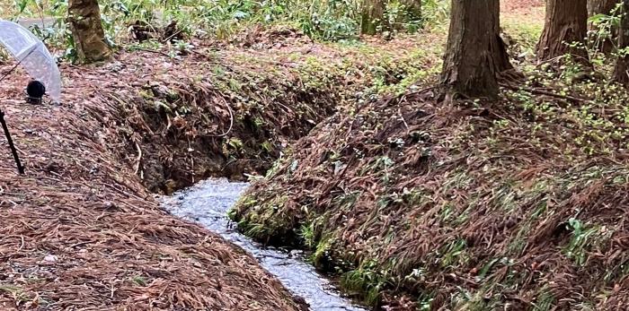 [RJ01037463] 宮村さんはいつも眠たげ【R-15ごりごり耳舐めASMR・ささやき/CV:涼花みなせさん】 [チームランドセル]-第4张图片-萌站