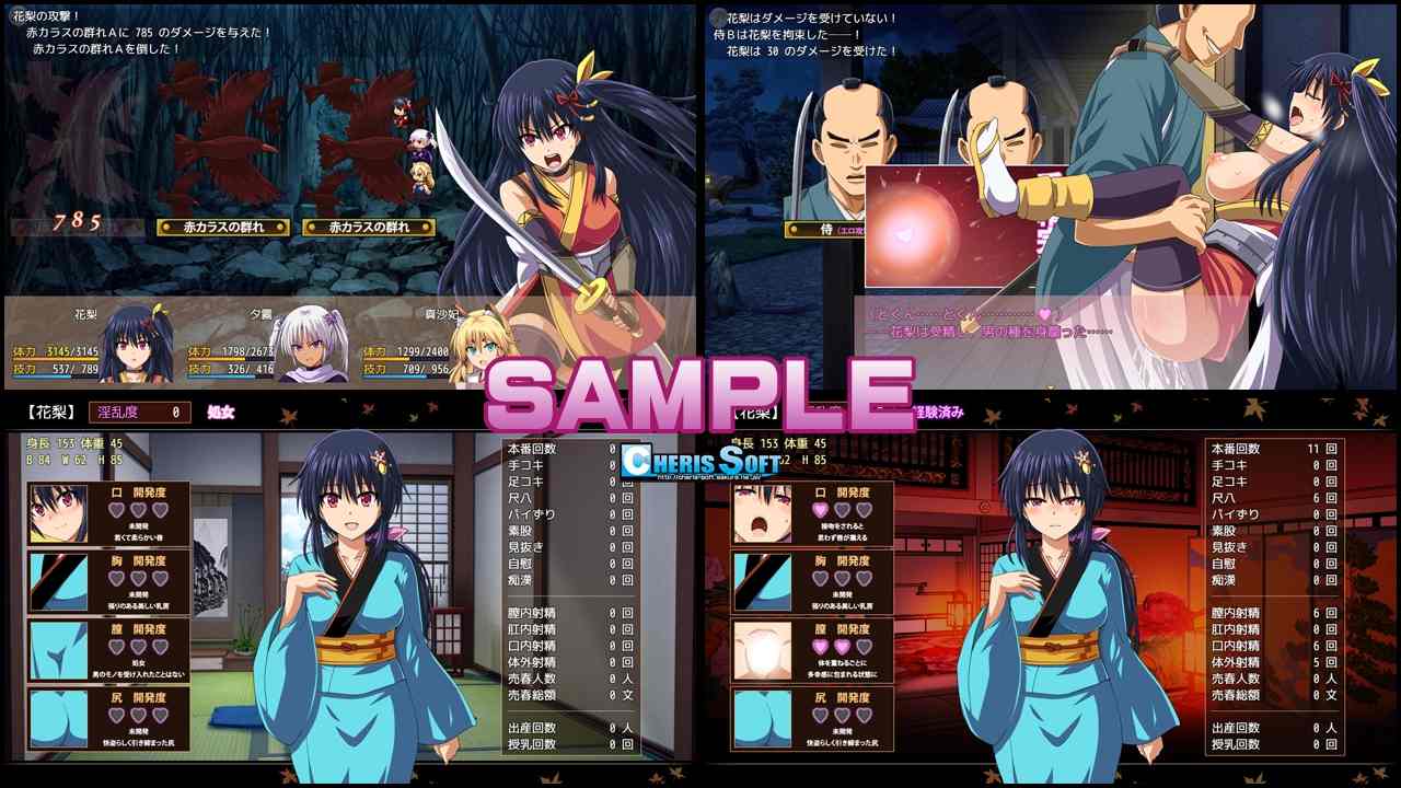 新汉化[回合RPG/战斗H] 女忍花梨 くノ一花梨 V1.2 汉化版 [1.80G]-第2张图片-萌站