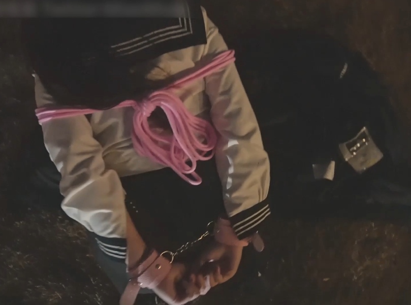 29 ❤️小母狗调教❤️小萝莉被主人戴上项圈狗链户外调教 [1V+778.25MB]-第5张图片-萌站