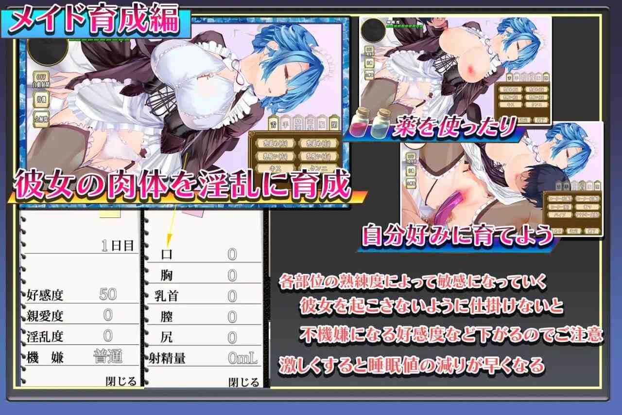 [互动SLG/淫乱养成/PC] 女仆总是伴你左右 メイドはいつもご主人様の隣に 机翻汉化版-第4张图片-萌站