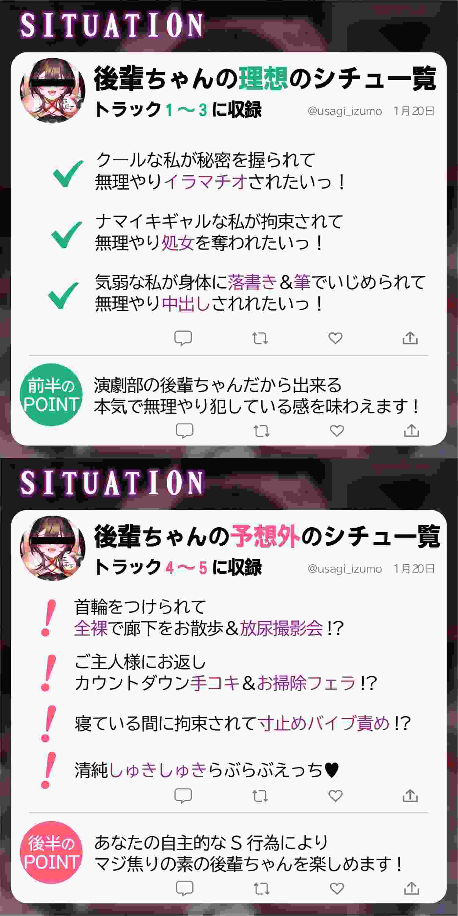 [RJ01016412][IZUMO USAGI]後輩ちゃんはいろんなキャラシチュで無理やりにされたいっ!-第3张图片-萌站