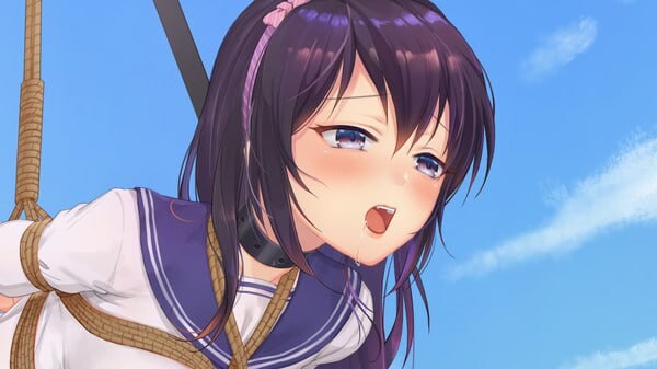 [休闲SLG/动态/推箱子/PC] Seek Girl Ⅵ 官方中文版-第1张图片-萌站