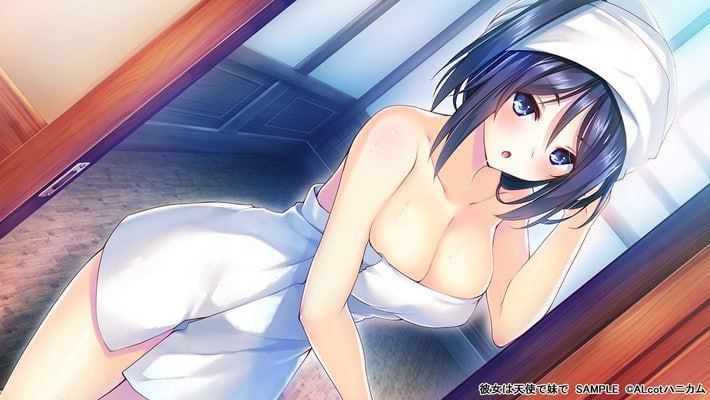 PC/ADV/伊人天使妹侧畔 #彼女は天使で妹で 中文汉化版+全CG存档-第2张图片-萌站