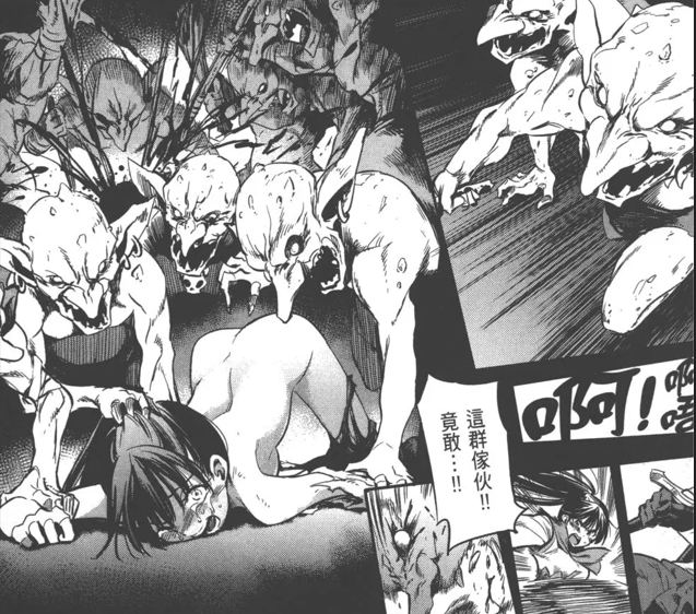 【正经资源】【日漫】《哥布林杀手》单行本&全部连载合集【共7000+页/2.8GB】【JPG版】-第2张图片-萌站