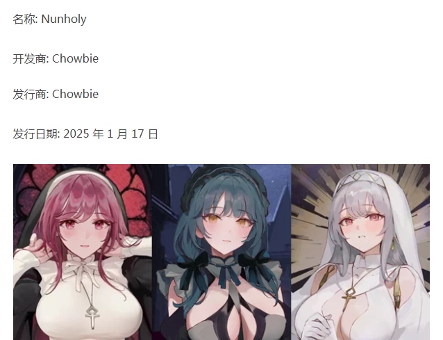 [PC/佳作/好玩/个人推荐/地下城/哥特/肉鸽] Nunholy [1+499M][百度盘]-第3张图片-萌站