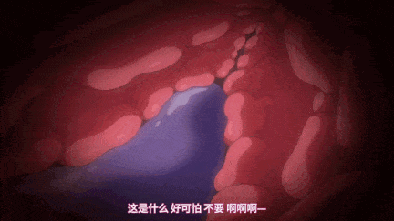 【动画/触手/束缚/调教/中出/爆操】魔法少女ノーブル・ローズ THE ANIMATION 第1巻 [中文字幕]-第5张图片-萌站